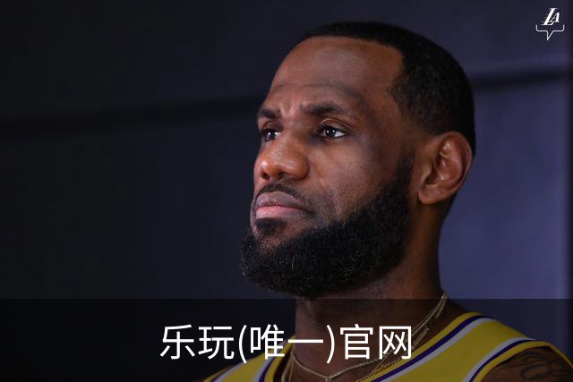 乐玩(唯一)官网公司简介